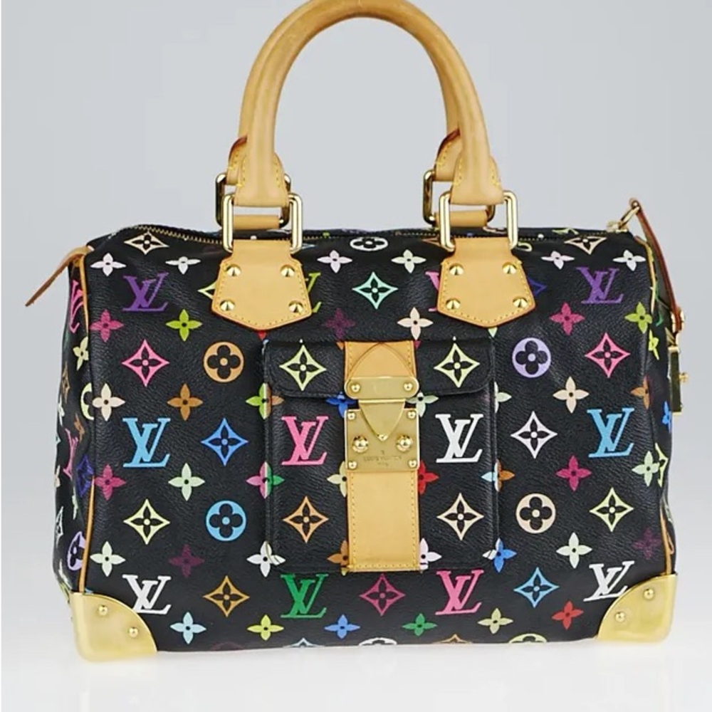 Louis Vuitton Multicolor Monogram Handbag